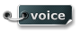 voice