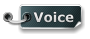 Voice
